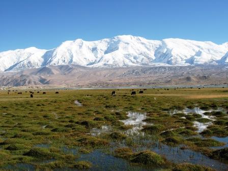 Great Traverse from Xinjiang to Tibet